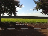 Terreno no Condom�nio Flora Ville em Boituva SP